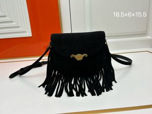 Mini bolso clásico Bolso de hombro con puerta Triumph Bolso de gamuza para mujer Bolso de diseñador Bolso con hebilla dorada Bolso con tapa Bolso de maquillaje para mujer Moda todo al por mayor