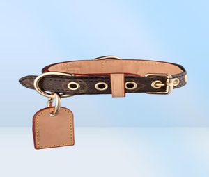 Classic Old Flower Dog Colliers Laux Set Fashion Brand Designer Dogs Collier Réglable Puppy Belt Lash Pet Outdoor Running Trai3493405