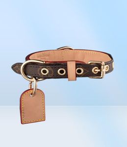 Classic Old Flower Dog Colliers Laux Set Fashion Brand Designer Dogs Collier Réglable Puppy Belt Lash Pet Outdoor Running Trai1704771