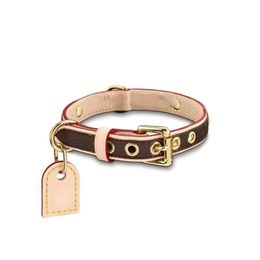 Classic Old Flower Luxury Designer Colliers de chien LEASE LESSE SET MAQUE MODE Collier Collier Ajustement Puppy Belt Lash Pet Outdoor Running Training Training Collier Collier