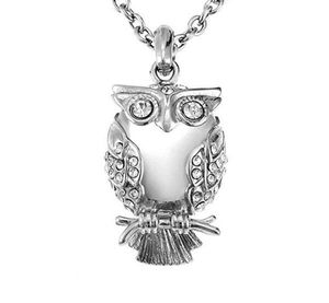 Klassieke Owl zilveren crematie urn hanger crematie sieraden ketting as souvenir hanger vulkit roestvrij staal