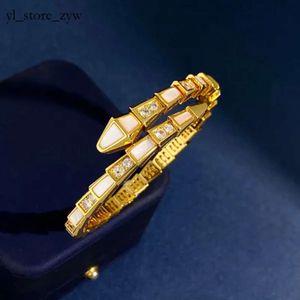 Klassiek Serpentine Viper Bangle Nieuwe slangenfestival Women Rose Gold armbanden Hoogwaardige witte schaal Diamant Koperen Bracelet Luxurys Sieraden Charmband 8581
