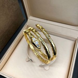 Pulsera de serpiente clásica Pulsera de diseñador Diseñador de joyas para mujer Diamante de alta calidad Chapado en oro de acero inoxidable para hombre Hiphop Accesorios de joyería al aire libre