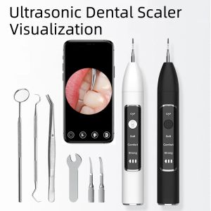 Nettoyeurs Ultrasonic Dental Calculu Remover Dentans Plaque Scalmer Stotteer Clean Electric Dental dents Rémêler de pierre Visual Tartar Eliminator