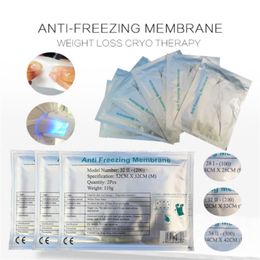 Accessoires de nettoyage Film de membrane anti-gel Cavitation Fat Cryo refroidissement Poids Réduisez la thérapie PAD ANTIFEEZE GEL CE Approbation