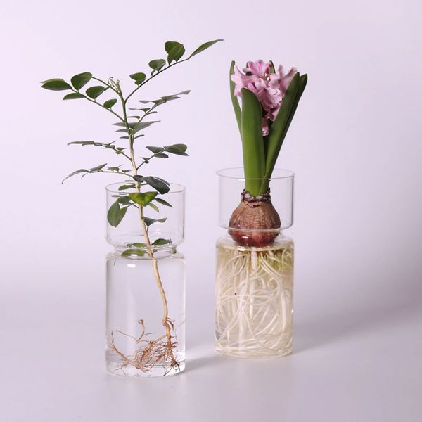 Verbe à verre transparent vase de plantes de plante de fleurs transparentes en verre transparent Ornements de maison de maison du salon de la maison de jardin décors 15 cm 240329