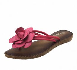 Clearence!!! Un par solo tamaño US9 Camellia zapatillas verano suave chanclas sandalias, encantadora plantilla dulce flores zapatillas mujeres botas de trabajo ancho becerro bo v6yt #