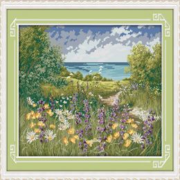 Chemin de la falaise paysage de bord de mer décor à la maison peinture à la main point de croix broderie couture ensembles compté impression sur toile DMC 1193N