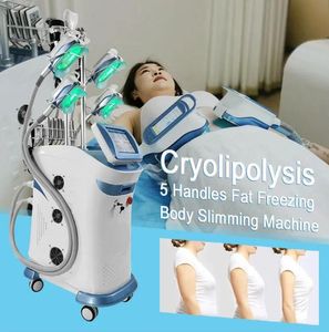 Kliniek gebruik Body Shaping Cryolipolysis Machine vet bevriezen slanke schoonheid apparatuur 360 graden cryotherapie machine voor vet verminderen afvallen