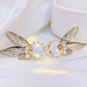 Clip-on schroef terug Koreaans delicate holle vlinderontwerp Pearl transparante oorbellen 14K echt goudplateren elegant voor vrouwen prachtige ea