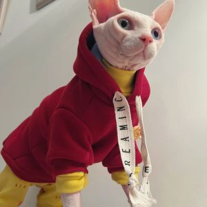 Vêtements Vêtements d'hiver pour chat Sweat-shirt à capuche en polaire chaude pour Sphynx Costume de dessin animé épais pour chatons Chiens Manteau gris doux pour chat femelle