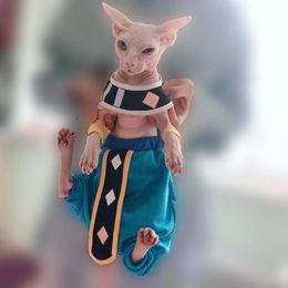 Vêtements Cosplay Sphinx chat sans poils, Cape en coton personnalisée, pantalon à entrejambe, dragons, vêtements pour chat, costume pour animaux de compagnie