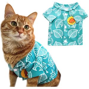 Ropa disfraz para gato Sphynx, ropa para gato, disfraz para perro pequeño, traje para gato, accesorios para Gato
