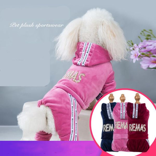 Vêtements pour chiens d'automne hiver Nouveau veet veet à quatre plats de loisirs de sport à quatre plats en peluche