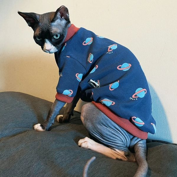 Vêtements pour chats printemps coton sweat-shirt à manches longues manteau pour Sphynx mode épais bleu espace T-shirt pour chatons en été 240309