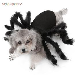 Vêtements Halloween Pet Spider Clothes Simulation Black Spider Puppy Cosplay Costume For Dog Cats Party Cosplay Tenue drôle