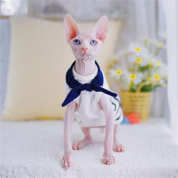 Vêtements Navy Style Sphynx Cat Apparel Sailor Vêtements Kitty portant Comfort Spring Summer Filthing Hair Anim Fashion