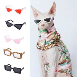 Vêtements Personnalisez les lunettes de soleil Sphynx Accessoires pour animaux