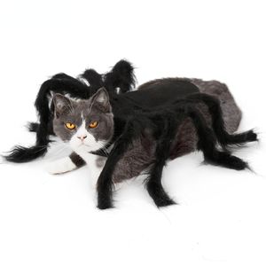 Costumes d'Halloween pour animaux de compagnie, araignée effrayante, Cosplay pour petits chatons, chiots, vêtements de fête pour chiens et chats, accessoires de déguisement amusants