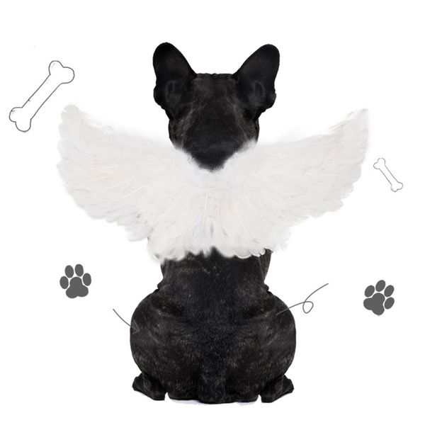 Vêtements Pet Halloween Feather Wing Dog Show Fairy Costume Cosplay Propytes Angel Devil Wings For Dog Cat Party Halloween Noël