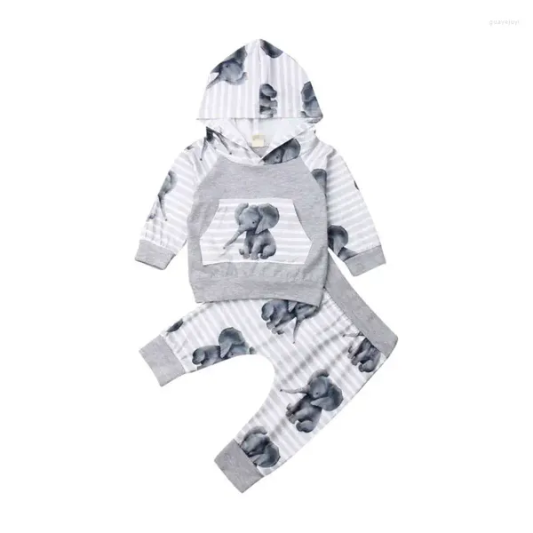 Conjuntos de ropa 0-24m Baby Boy Elephant Animal Copas con capucha Pantalones largos Trajes de ropa