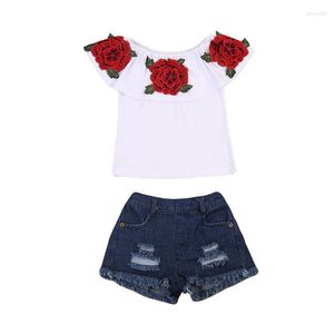 Ensembles de vêtements 2022 marque 3D fleur enfant en bas âge bébé enfants hauts pour filles T-shirt Denim pantalon 2 pièces tenues bel ensemble 1-6T