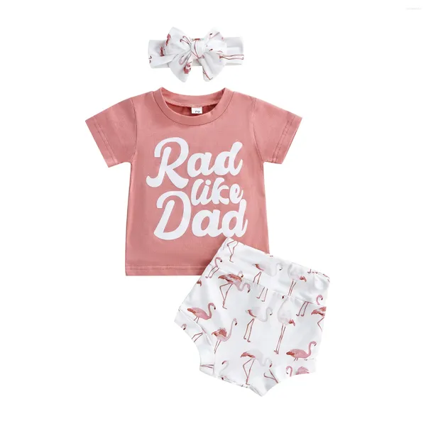 Ensembles de vêtements 2024-04-07 Lioraitiin 0-24M Bébé Filles Shorts Ensemble T-shirt à manches courtes avec bandeau à nœud papillon imprimé flamant rose