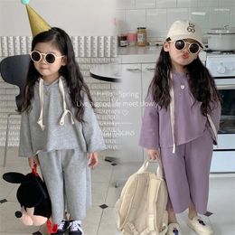 Ensembles de vêtements 2024 vêtements pour enfants coréens printemps et automne ligne pull pour bébé fille avec chapeau pantalon à jambes larges ensemble 2 pièces