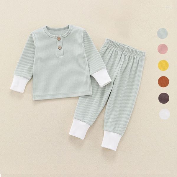 Ensembles de vêtements bébé vêtements tricotés coton fille costumes unisexe blanc vert enfant en bas âge garçon pull ensemble né coréen automne hiver enfants tenues