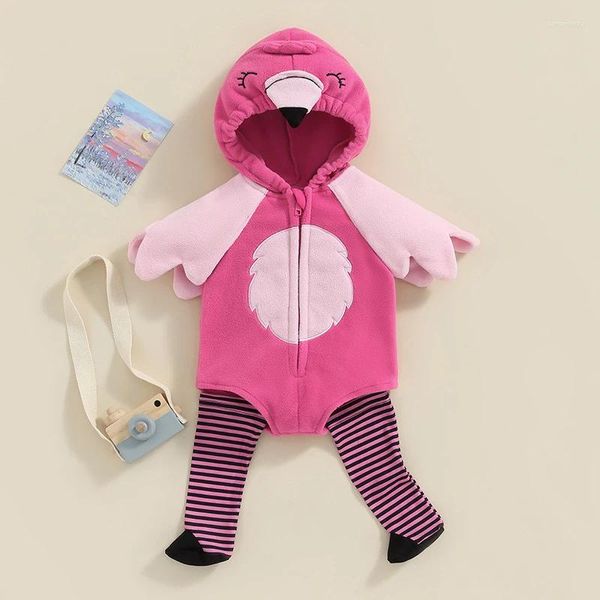 Vêtements de vêtements nés nés bébés filles 2 pièces tenues flamants manches longues à manches longues à capuche avec des ailes et des chaussettes pour les vêtements mignons automne