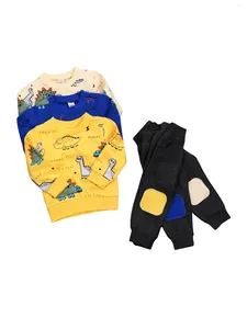 Ensembles de vêtements CitgeeSpring mode bébé garçons filles à manches longues hauts pantalons imprimé dinosaure taille élastique automne ensemble de dessin animé