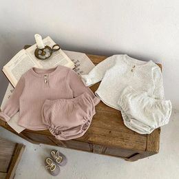 Kledingsets ins Baby Set 0-3 jaar Born Boy Girl Solid Color Long Sleeve geribbelde katoenen T-shirt Bloomer shorts 2 stks Spring Outfits