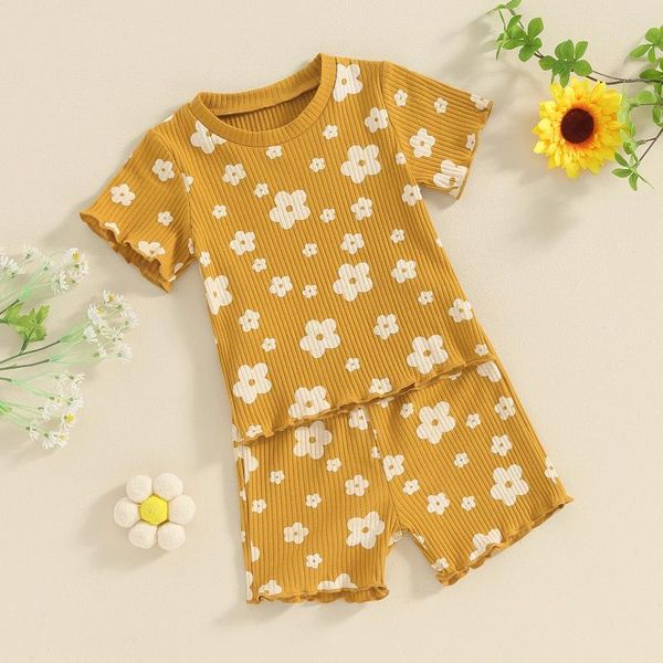 Sets de ropa para niños Baby Girl Summer Outfits Casual Floral/Butterfly estampado de 2 piezas Camisetas de manga corta O Camisetas y pantalones cortos para