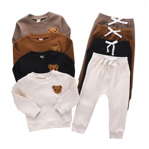 Conjuntos de ropa para niños, ropa de otoño con bordado de oso, moda deportiva, sudadera, pantalones, trajes de 2 uds, trajes de 0 a 5T para niños y niñas, trajes encantadores para primavera