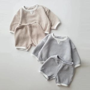 Ensemble de vêtements Corée Baby Boys Waffle Waffle Clothes Set 2024 Autumn Girls 2pcs / Set Pull Pp Pant Shorts 0-2y Sportswear Suit