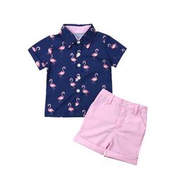 Kledingsets Lioraitiin 1-6-jarige peuter boy gentleman flamingo shirt met korte mouwen+shorts stevige kleuren broek bruiloftsfeest zomerset d240514