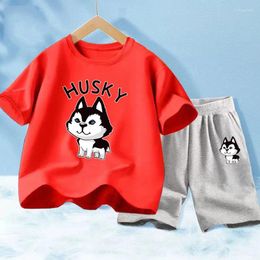 Sets de ropa Summer Baby Boys Traje de ropa para niños Cartoon Husky Dog Camiseta pantalones pantalones cortos 2 piezas/set de moda para niños