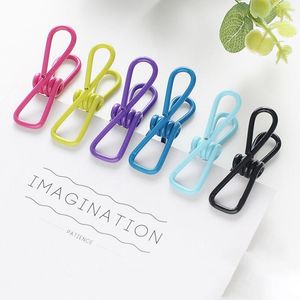 Vêtements Storage de la garde-robe 10pcs Clips Wire Times à vêtements colorés au vent Pintures à vêtements colorées Sèche pour les outils de lessive à la maison