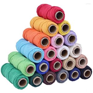 Kledinggaren 4 mm kleur katoen touw diy handgeboden dikke tapijtbindende decoratieve macrame koord snoer draad