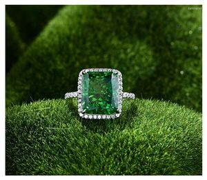 Clusterringen 13 10 12 Bloemsnij Gemring Vrouw 925 Zilveren Hoge koolstof Diamant Europese en Amerikaanse sieraden