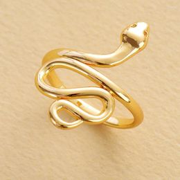 Cluster anneaux chics femmes femmes plaquées d'or plaque à tendance serpent serpent doigt créatif bande ajusté anneau de créateur bijoux