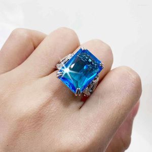 Cluster Rings Hoyon Women's Wedding Ring Set met Sea Blue Topaz Diamond Style Princess en S925 Color Fashion Jewelry Engagement Girl