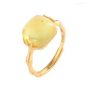 Clusterringen JZ225 Zfsilver Silver S925 Fashion Trendy Gold South Red Agate Hetian Jade Amber Bamboo Leaf Square Ring For Women Wedding