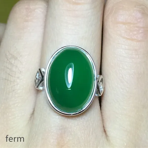 Anillos de clúster kjjeaxcmy boutique joyería 925 plateado con incrustaciones de calcedonia verde, granate, anillo femenino mini de detección de apoyo