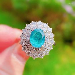 Cluster Ringen Luxe Paraiba Saffier Bloem Ovale Diamanten Paar Ring Voor Vrouwen Geometrische Zirconia Verzilverd Anniversary Gift Sieraden