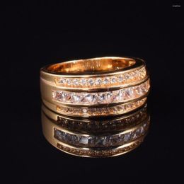 Cluster Ringen Heren Deluxe 10K Geel Vergulde Gesimuleerde Diamant Granaat Kristal Stenen Band Trouwring Voor Mannen Vrouwen Juwelen Maat