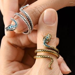 Bagues de cluster Punk serpent enroulé pour femmes multicolore CZ pierres danse fête réglable bague spéciale fille cadeaux personnalité bijoux