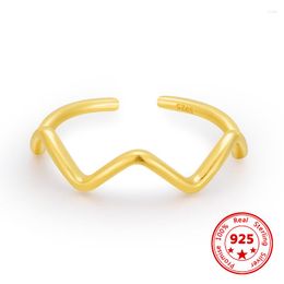Cluster Ringen S925 Sterling Zilver INS Eenvoudige Ring Geometrische Curve Geavanceerde Gevoelige Oppervlak Camber Opening Dames Sieraden