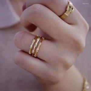 Cluster ringen unice ins eenvoudig real 18k massief geel goud au750 fijne sieraden diamanten 3 lagen openwork holle bamboe voor vrouwencadeau