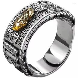 Cluster anneaux vintage richesse divine bête pixiu anneau de pièce pour hommes bijoux personnalité rotatif cylindre large accessoires de doigts mâles